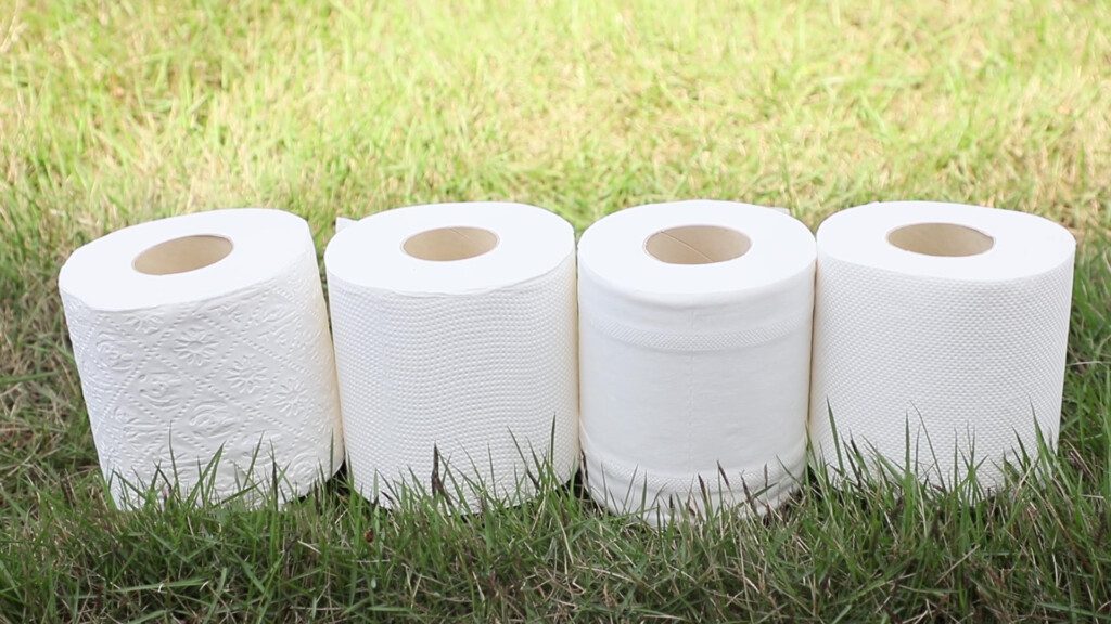 Toilet paper: How the toilet paper habit can grow, and why India