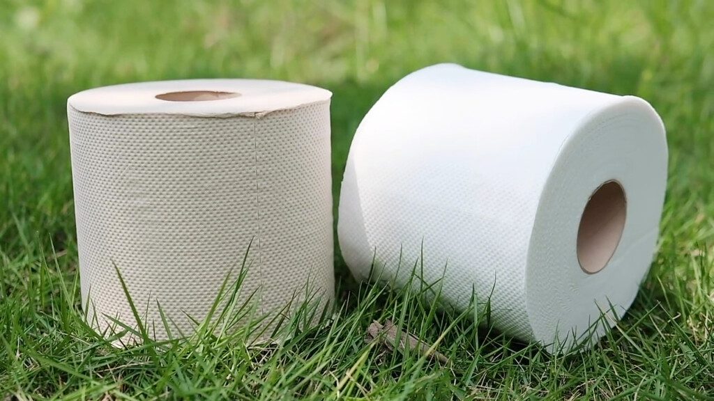 Why we use bamboo toilet paper?