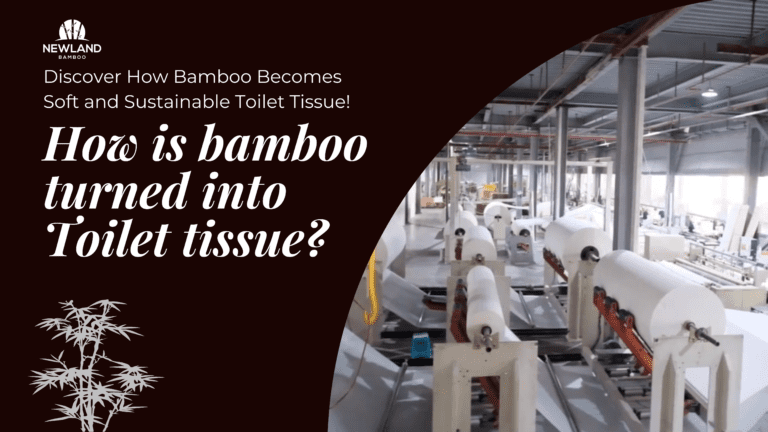 How is bamboo turned into toilet tissue?