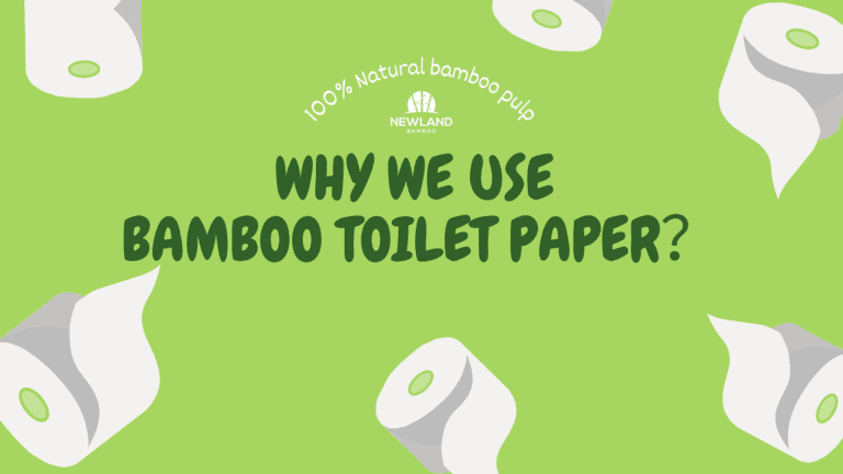 Why we use bamboo toilet paper?