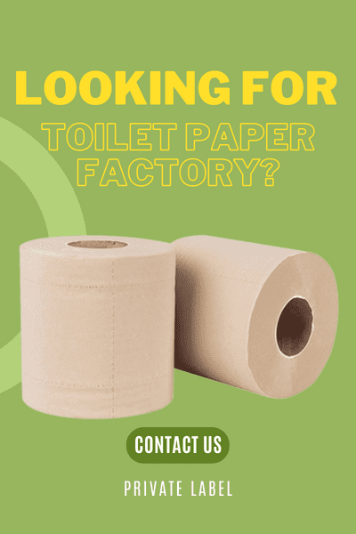 Looking for toilet paper factory?