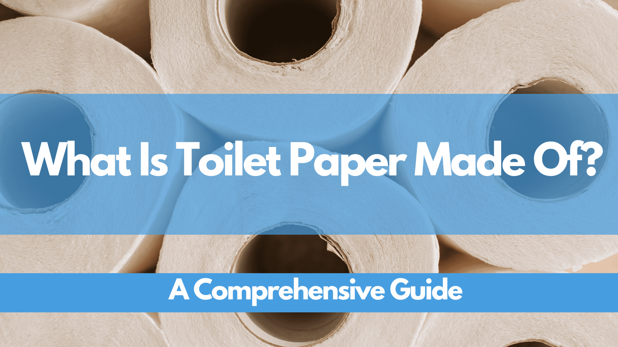 What Is Toilet Paper Made Of? | A Comprehensive Guide