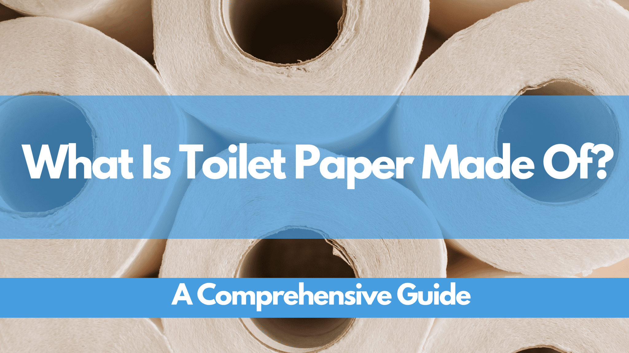 blog-¿De qué está hecho el papel higiénico? | Guía completa