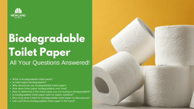 Biodegradable Toilet Paper – All Your Questions Answered