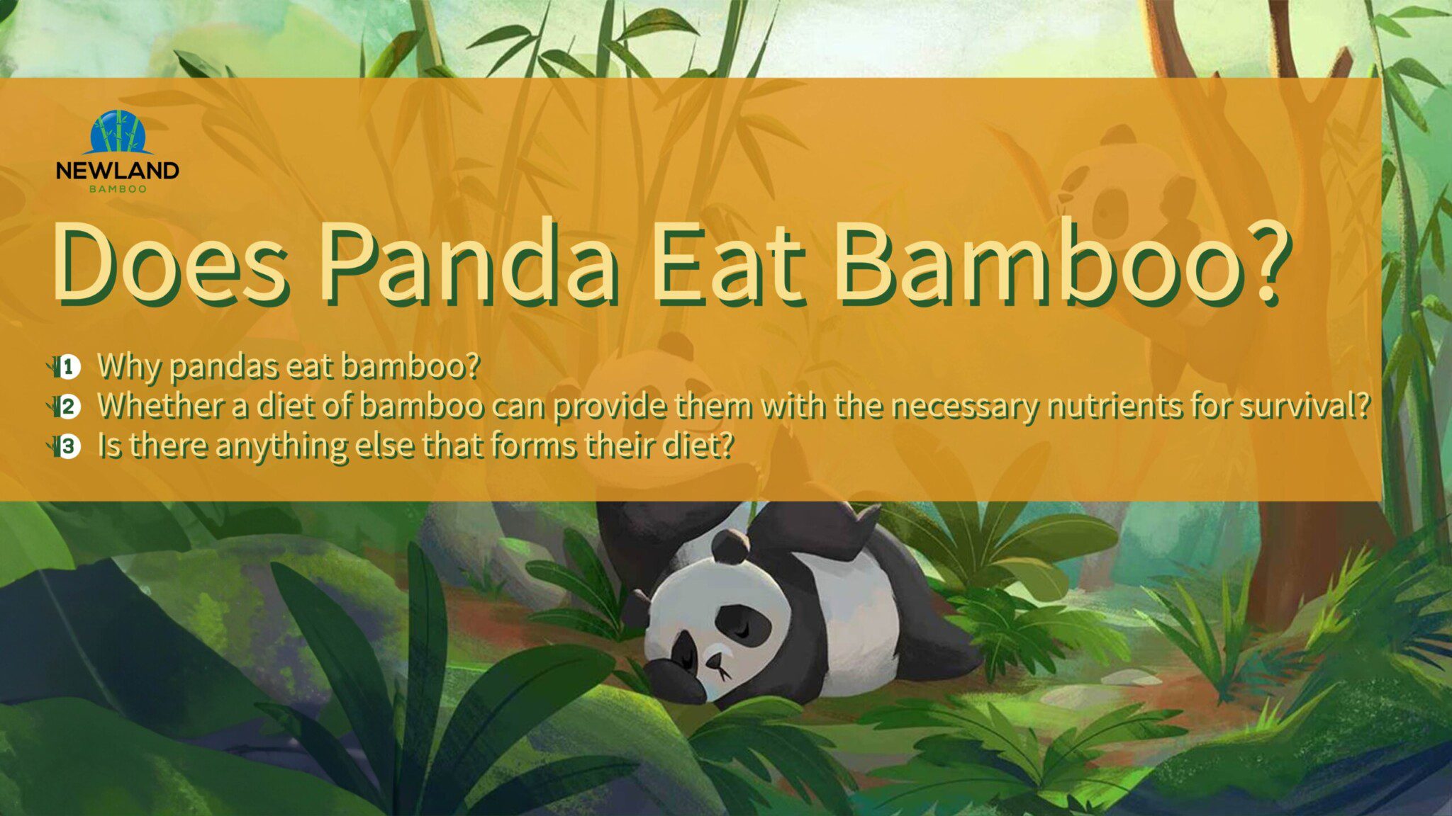 Does Panda Eat Bamboo?