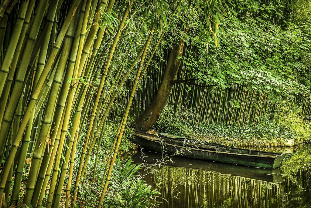 bamboo, boat, vietnamese-4282542.jpg