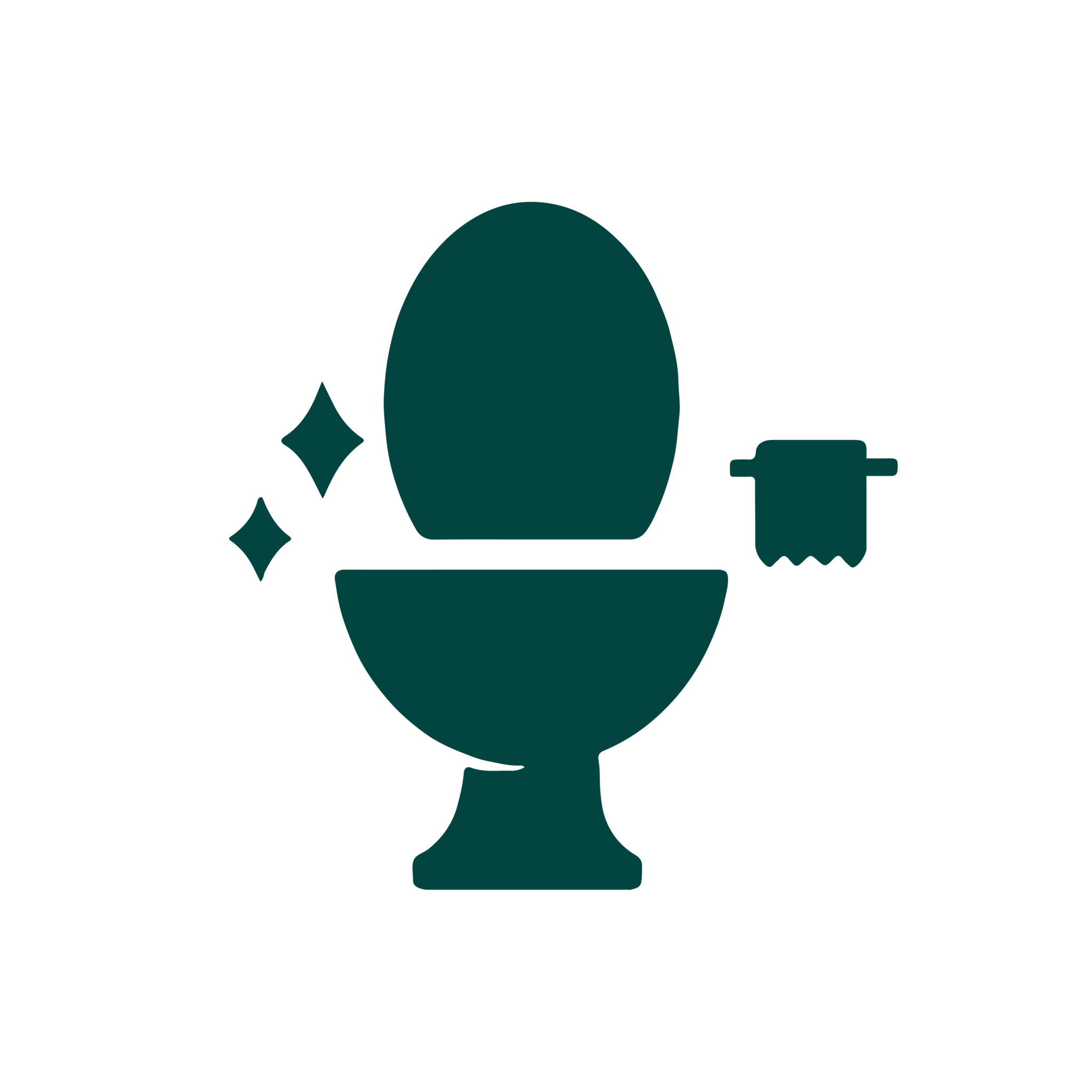 Septic Safe