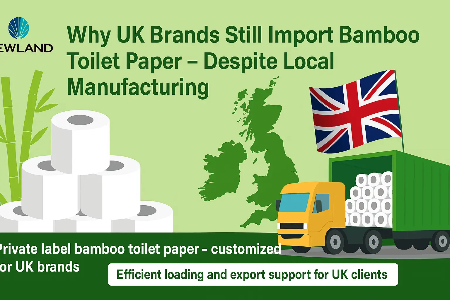 Blog-Por qué las marcas británicas siguen importando papel higiénico de bambú a pesar de fabricarlo localmente (3)