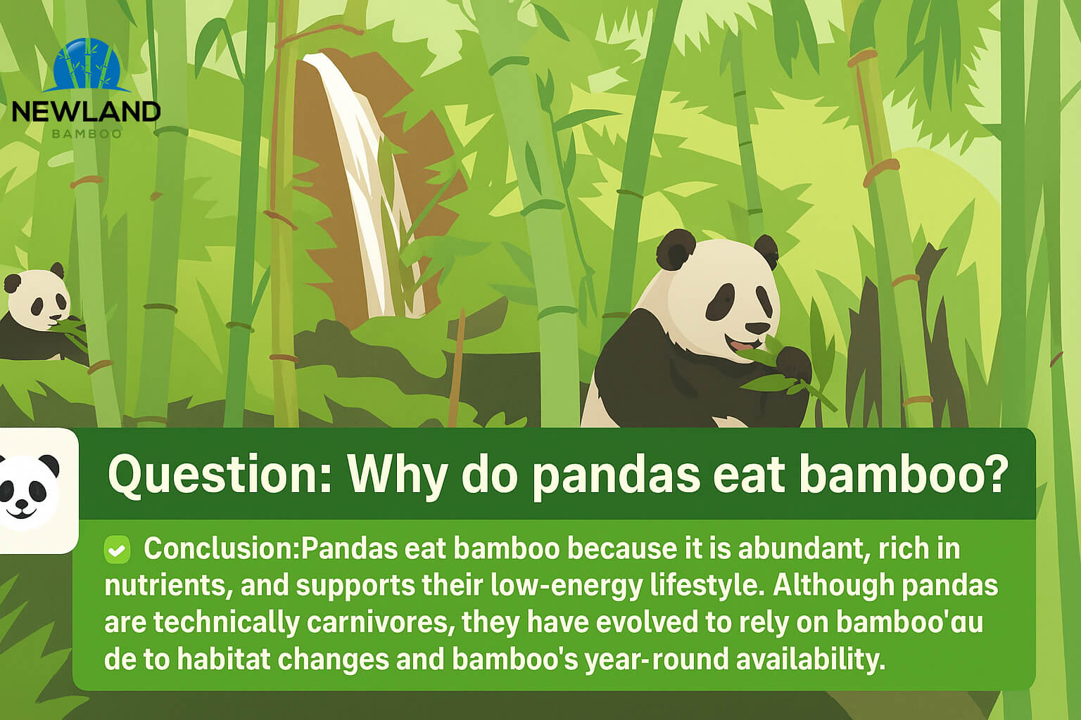 Panda sitting in bamboo forest with question and conclusion about their bamboo diet