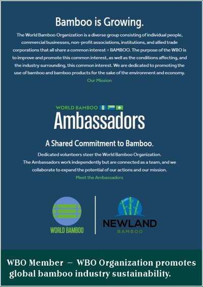 Newland Bamboo - Member of World Bamboo Organization, promoting global bamboo sustainability