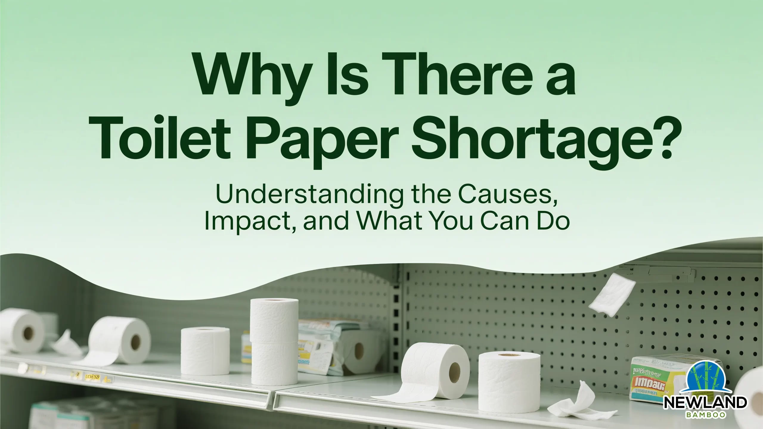 Blog-Why_Is_There_a_Toilet_Paper_Shortage